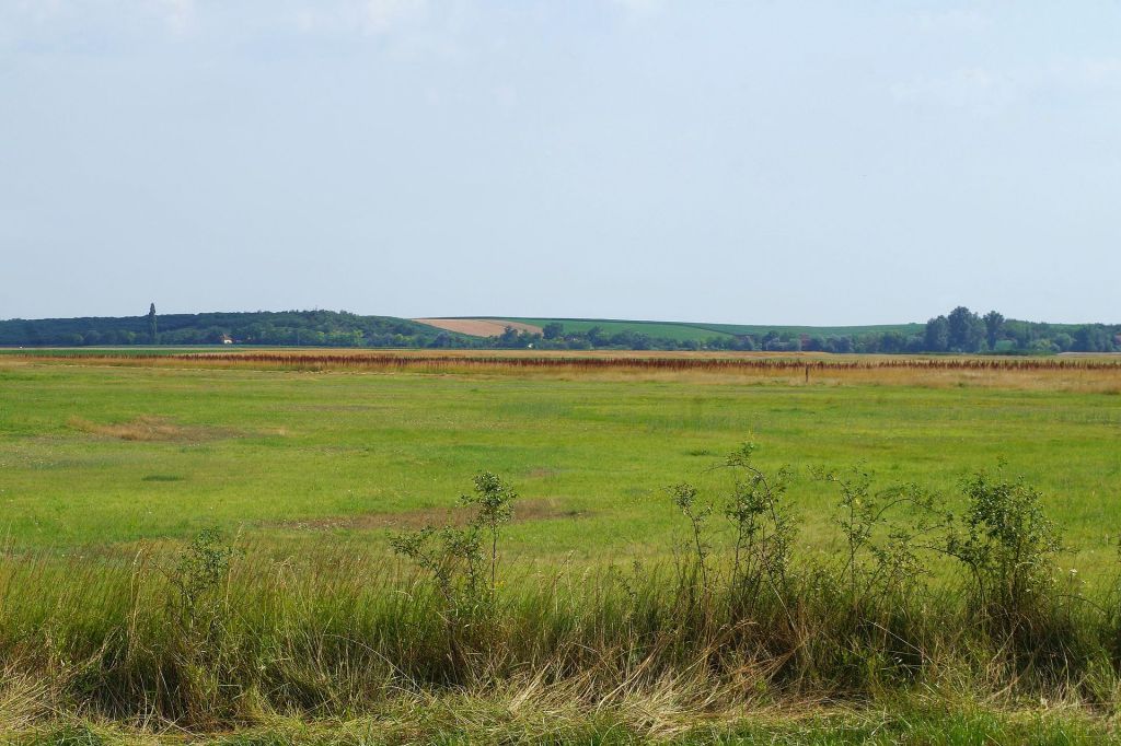 Eastern Serbia rolling hills and Danube cliffs near Đerdap Gorge