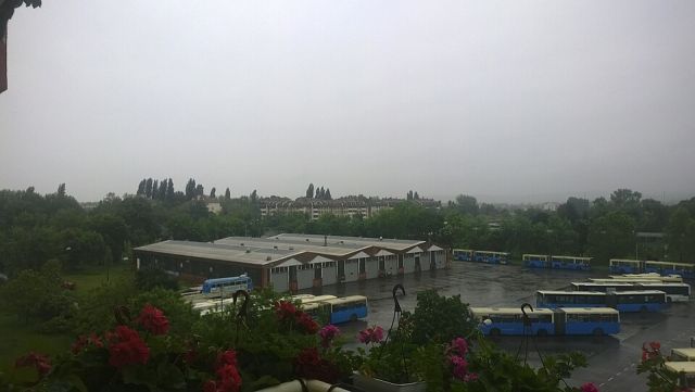 Blue buses parked on a rainy depot lot beside low buildings and trees in Serbia